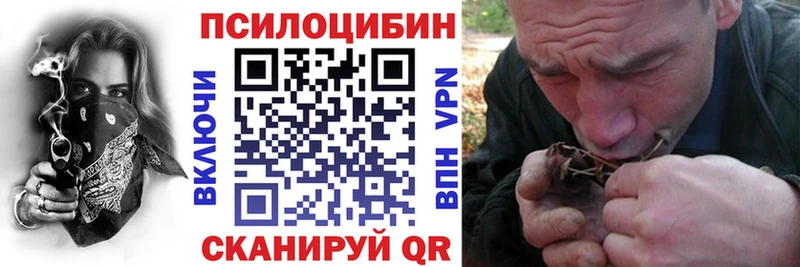 что такое   Томилино  omg сайт  Псилоцибиновые грибы Psilocybine cubensis 